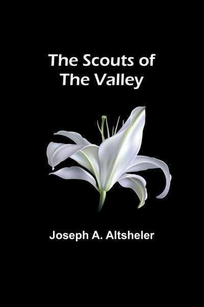 Produktbild: The Scouts of the Valley