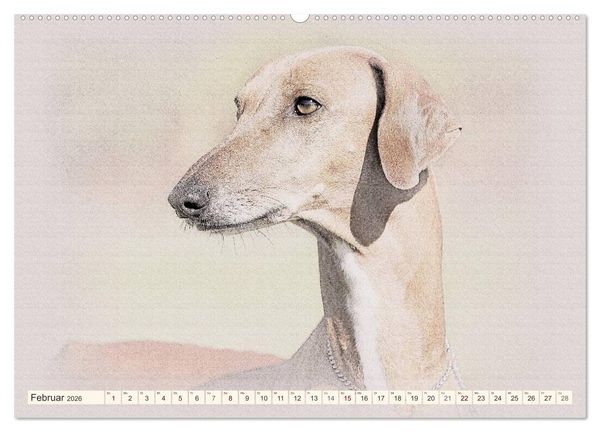 Produktbild: Windhunde 2026 (hochwertiger Premium Wandkalender 2026 DIN A2 quer), Kunstdruck in Hochglanz