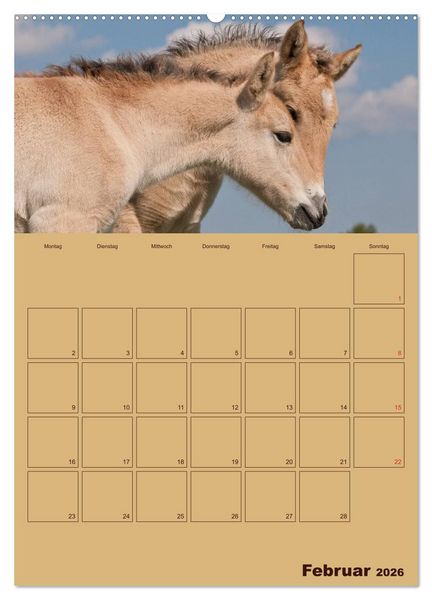 Produktbild: Pferde Gute Freunde (hochwertiger Premium Wandkalender 2026 DIN A2 hoch), Kunstdruck in Hochglanz