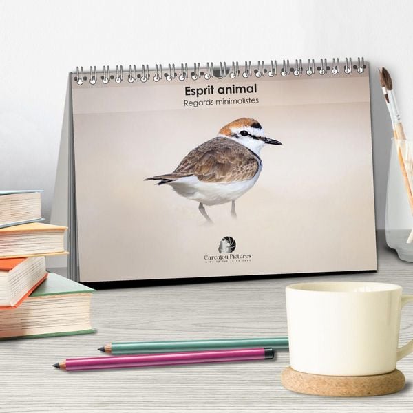 Produktbild: Esprit animal - Regards minimalistes (Calendrier de bureau 2027 DIN A5 vertical), CALVENDO calendrier mensuel