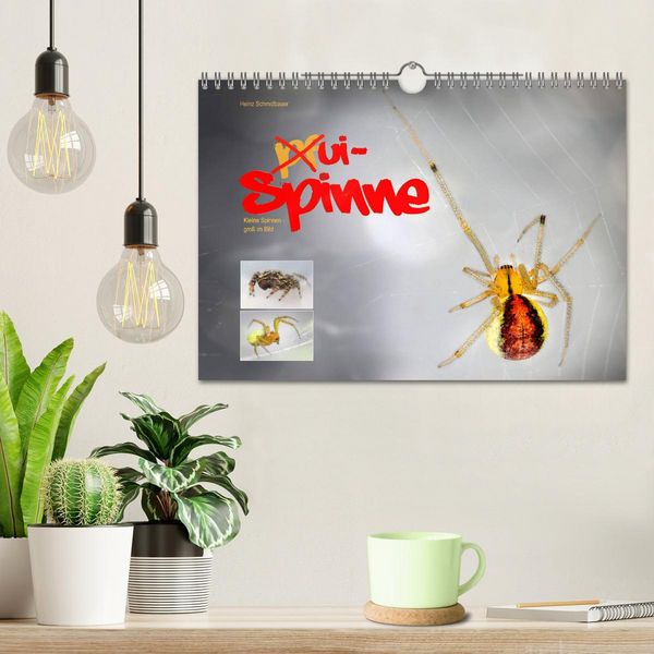 Produktbild: ui - Spinne. Kleine Spinnen - gro&szlig; im Bild (Wandkalender 2026 DIN A4 quer), CALVENDO Monatskalender