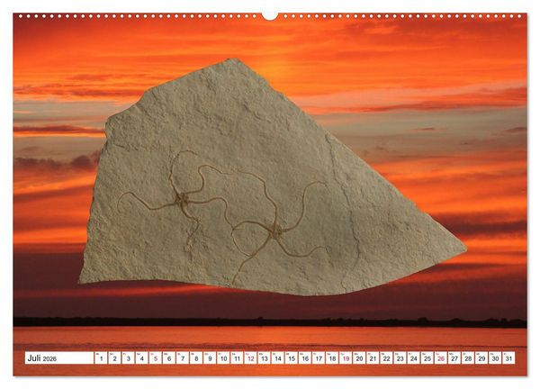 Produktbild: Versteinerte Welt (hochwertiger Premium Wandkalender 2026 DIN A2 quer), Kunstdruck in Hochglanz