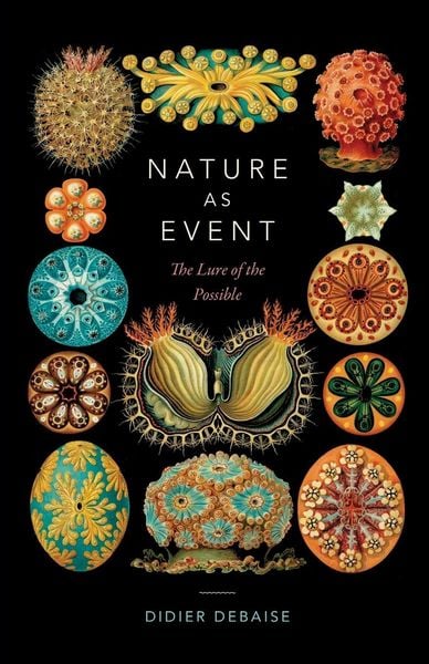 Produktbild: Nature as Event