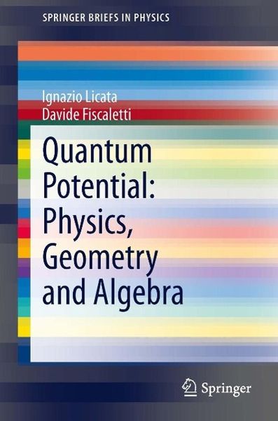Produktbild: Quantum Potential: Physics, Geometry and Algebra
