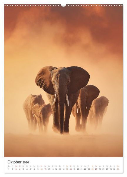 Produktbild: Im Herz der Wildnis (Wandkalender 2026 DIN A2 hoch), CALVENDO Monatskalender