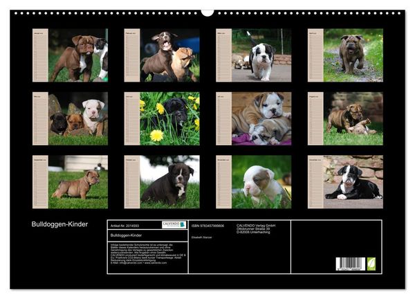 Produktbild: Bulldoggen-Kinder (Wandkalender 2026 DIN A2 quer), CALVENDO Monatskalender