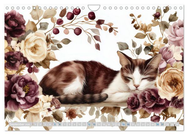 Produktbild: Katzensymphonie in Aquarell (Wandkalender 2026 DIN A4 quer), CALVENDO Monatskalender