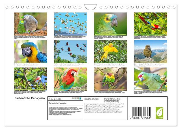 Produktbild: Farbenfrohe Papageien (Wandkalender 2026 DIN A4 quer), CALVENDO Monatskalender