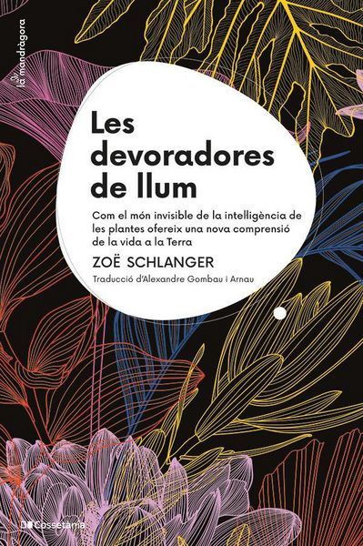 Produktbild: Les devoradores de llum