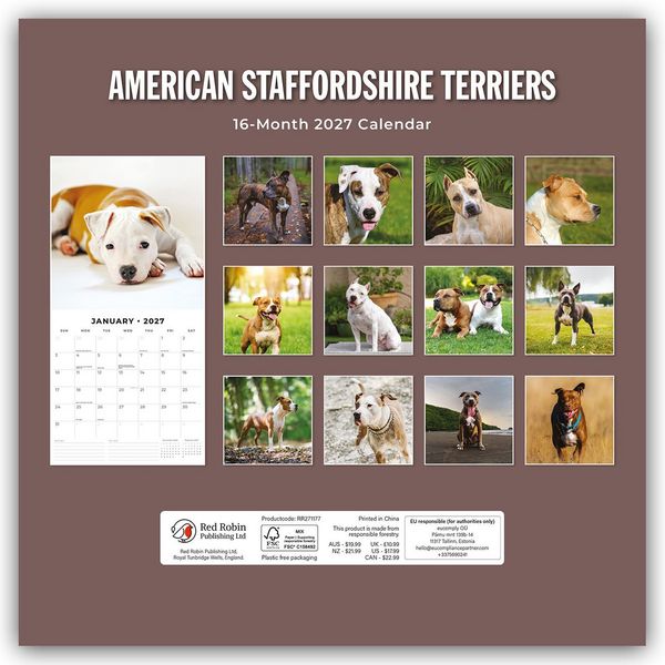 Produktbild: American Staffordshire Terriers &ndash; American Staffordshire Terrier 2027 &ndash; 16-Monatskalender