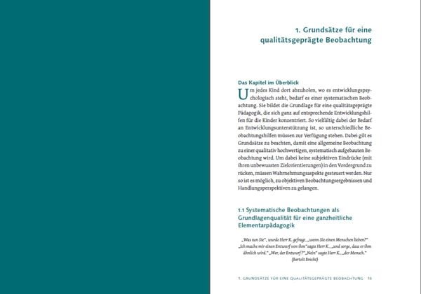 Produktbild: Beobachtung und Entwicklungsdokumentation