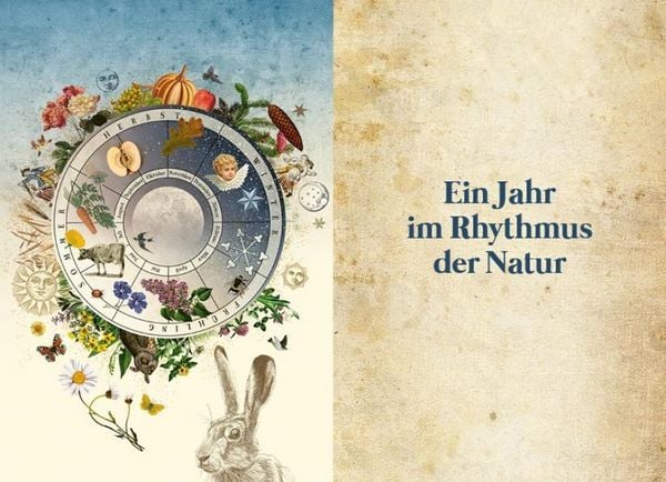 Produktbild: Naturwissen