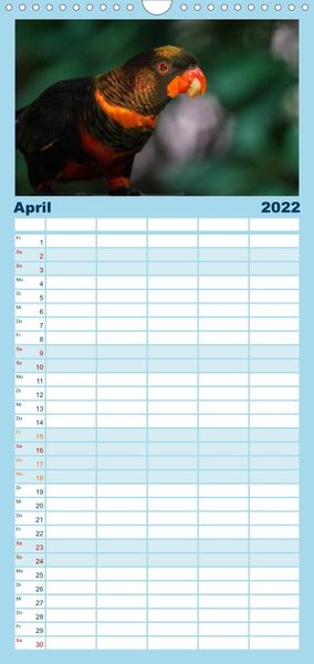 Produktbild: Papageien - Frech, sch&ouml;n und schlau - Familienplaner hoch (Wandkalender 2022 , 21 cm x 45 cm, hoch)