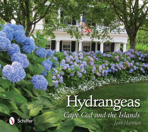 Produktbild: Hydrangeas
