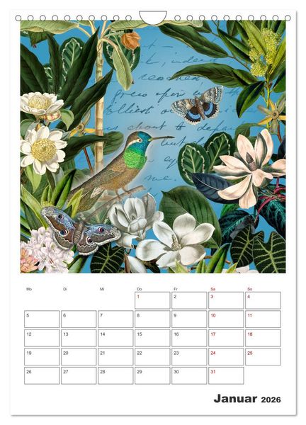 Produktbild: Das Paradies der Kolibris (Wandkalender 2026 DIN A4 hoch), CALVENDO Monatskalender