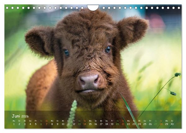 Produktbild: Zauberhaftes Norderstedt (Wandkalender 2026 DIN A4 quer), CALVENDO Monatskalender