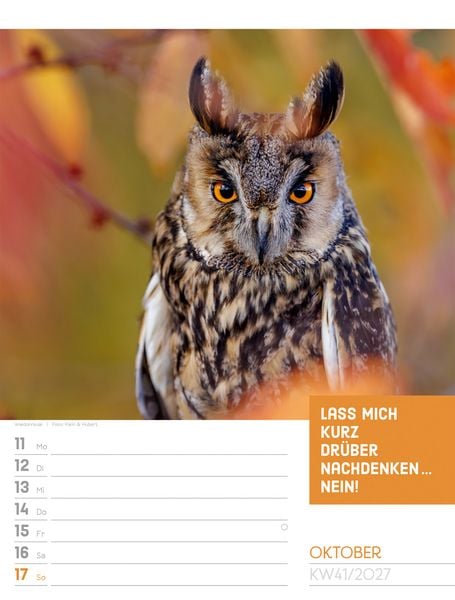 Produktbild: Tierisch Spr&uuml;chekalender Wochenplaner 2027
