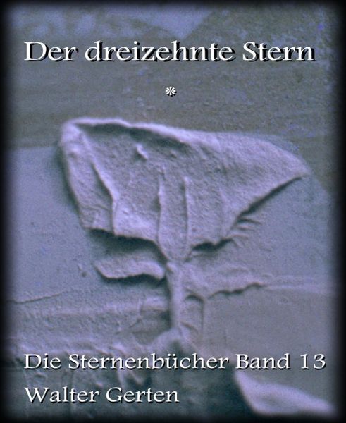 Produktbild: Der dreizehnte Stern