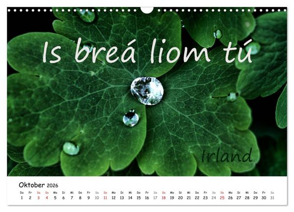 Produktbild: Ich liebe Dich (Wandkalender 2026 DIN A3 quer), CALVENDO Monatskalender