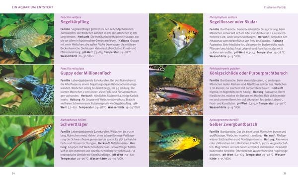 Produktbild: Das Aquarium