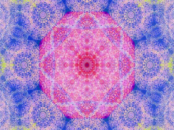 Produktbild: CALVENDO Puzzle Orientalische Orchidee | 1000 Teile Lege-Gr&ouml;&szlig;e 64x48cm Foto-Puzzle f&uuml;r gl&uuml;ckliche Stunden