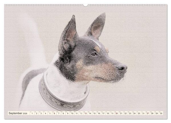 Produktbild: Bodeguero Andaluz 2026 (Wandkalender 2026 DIN A2 quer), CALVENDO Monatskalender
