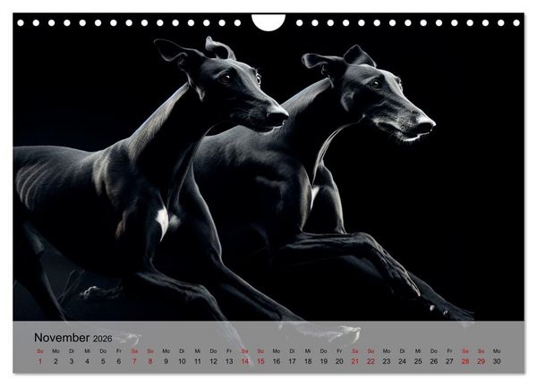 Produktbild: Black is beautiful (Wandkalender 2026 DIN A4 quer), CALVENDO Monatskalender