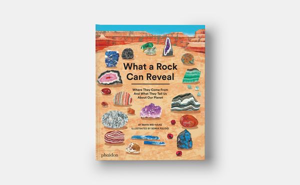Produktbild: What a Rock Can Reveal