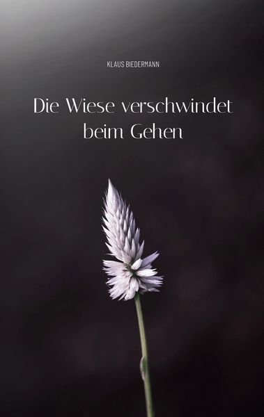 Produktbild: Die Wiese verschwindet beim Gehen