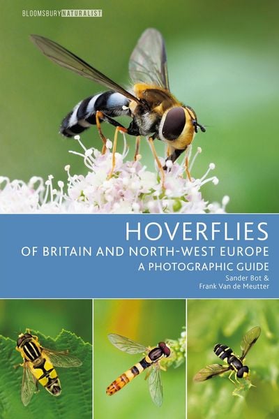 Produktbild: Hoverflies of Britain and North-west Europe