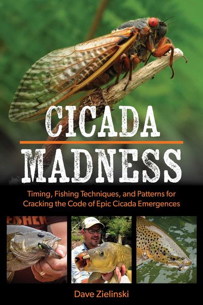 Produktbild: Cicada Madness