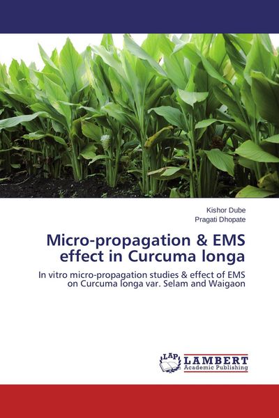 Produktbild: Micro-propagation & EMS effect in Curcuma longa