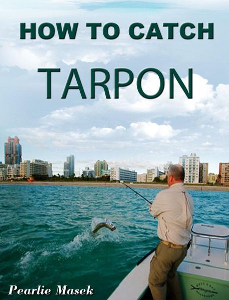 Produktbild: How To Catch Tarpon