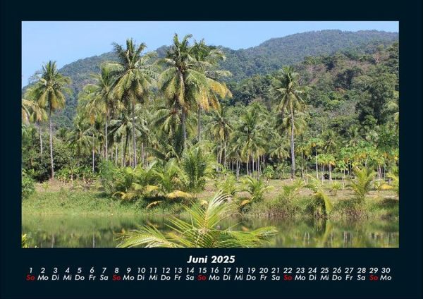 Produktbild: Palmentraum 2025 Fotokalender DIN A4
