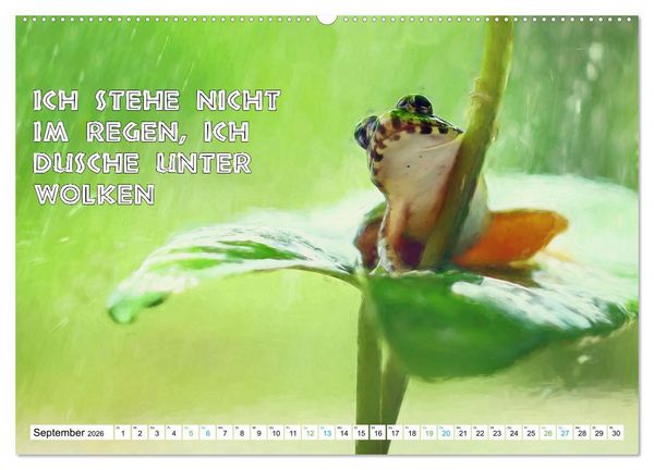 Produktbild: Frosch quakt Spr&uuml;che (hochwertiger Premium Wandkalender 2026 DIN A2 quer), Kunstdruck in Hochglanz