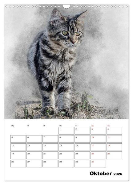 Produktbild: Maine Coon Katzen (Wandkalender 2026 DIN A3 hoch), CALVENDO Monatskalender