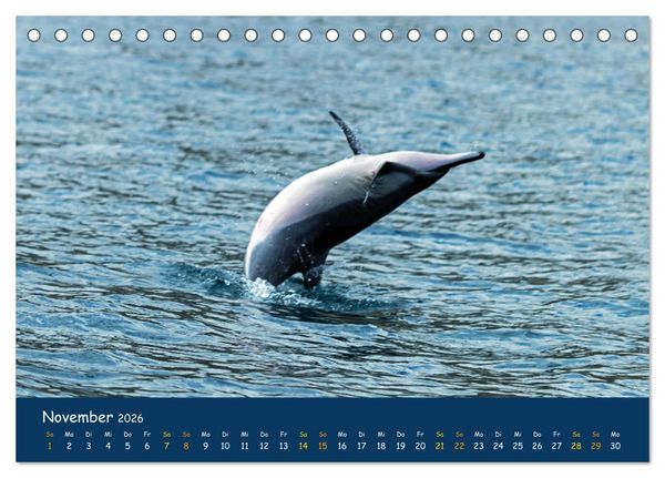 Produktbild: Faszinierende Tierwelt von Mauritius - Magische Momente der Natur (Tischkalender 2026 DIN A5 quer), CALVENDO Monatskalender
