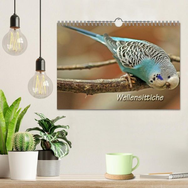 Produktbild: Wellensittiche (Wandkalender 2027 DIN A4 quer), CALVENDO Monatskalender