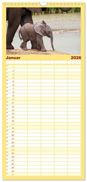 Produktbild: Familienplaner 2026 - Wildes Kinderzimmer - Tierkinder in Afrika mit 5 Spalten (Wandkalender, 21 x 45 cm) CALVENDO