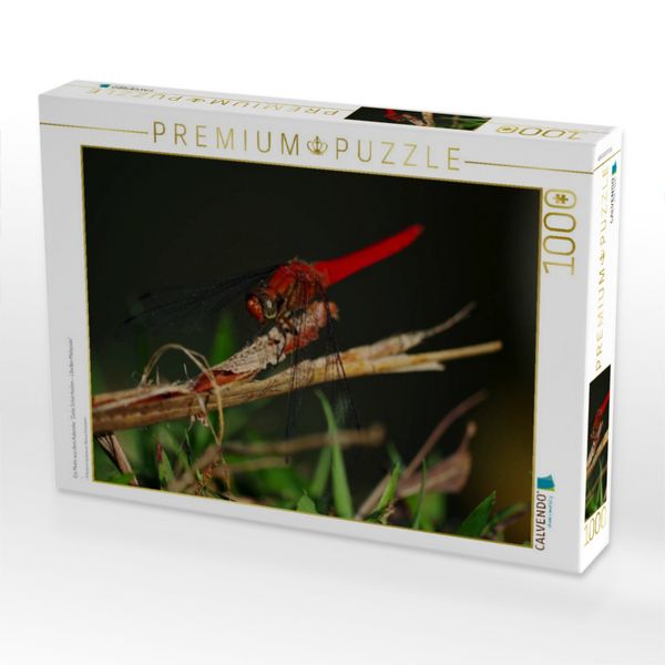 Produktbild: CALVENDO Puzzle Ein Motiv aus dem Kalender "Zarte Sch&ouml;nheiten - Libellen Malaysias" | 1000 Teile Lege-Gr&ouml;&szlig;e 64x48cm Foto-Puzzle f&uuml;r gl&uuml;ckliche Stunden