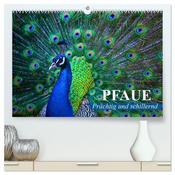 Produktbild: Pfaue. Pr&auml;chtig und schillernd (hochwertiger Premium Wandkalender 2026 DIN A2 quer), Kunstdruck in Hochglanz