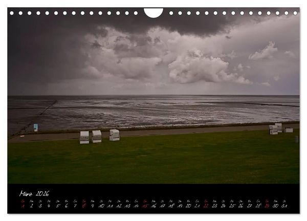 Produktbild: Friedrichskoog Buhnen und Salzwiesen (Wandkalender 2026 DIN A4 quer), CALVENDO Monatskalender