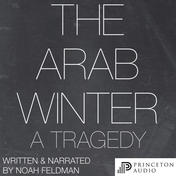 Produktbild: The Arab Winter
