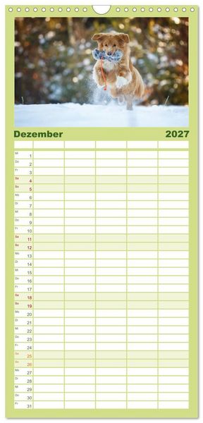 Produktbild: Familienplaner 2027 - Toller - Nova Scotia Duck Tolling Retriever mit 5 Spalten (Wandkalender, 21 x 45 cm) CALVENDO