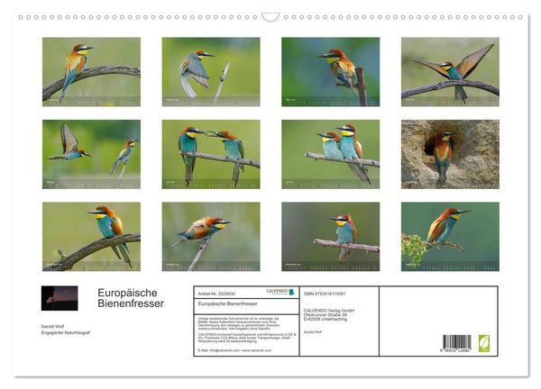 Produktbild: Europ&auml;ische Bienenfresser (Wandkalender 2026 DIN A2 quer), CALVENDO Monatskalender