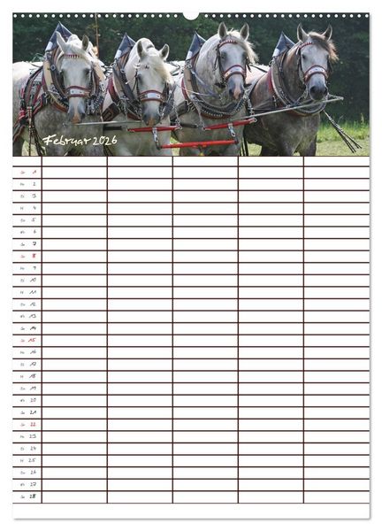 Produktbild: Der Kaltblut-Familienplaner (Wandkalender 2026 DIN A2 hoch), CALVENDO Monatskalender