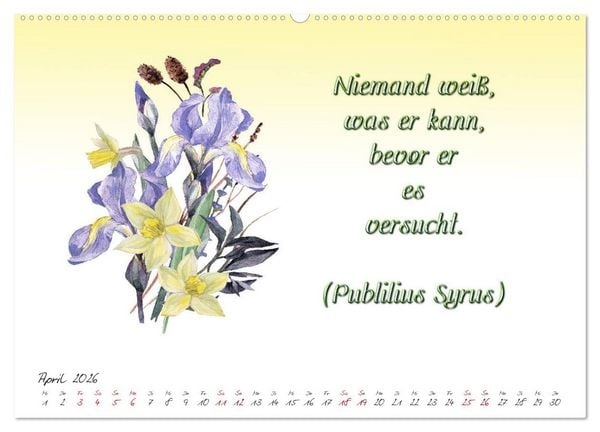 Produktbild: 12 unterhaltsame Zitate f&uuml;r ein sch&ouml;nes Jahr (hochwertiger Premium Wandkalender 2026 DIN A2 quer), Kunstdruck in Hochglanz