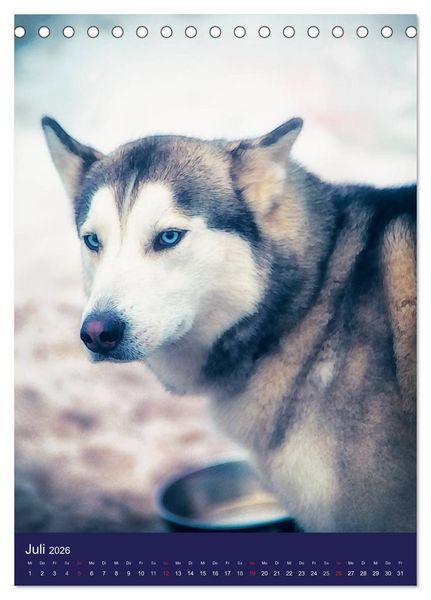 Produktbild: Huskies - Artwork (Tischkalender 2026 DIN A5 hoch), CALVENDO Monatskalender