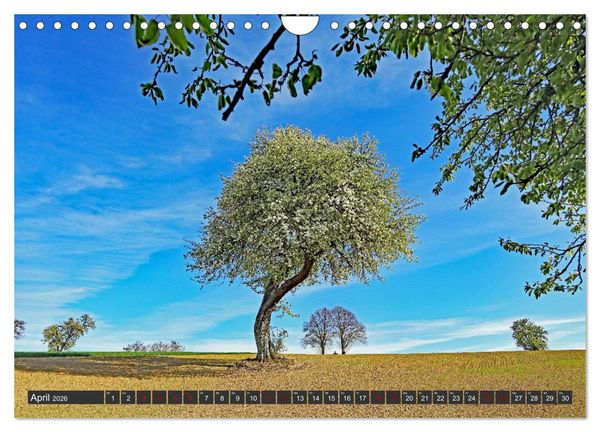Produktbild: Karlsruhes Osten (Wandkalender 2026 DIN A4 quer), CALVENDO Monatskalender