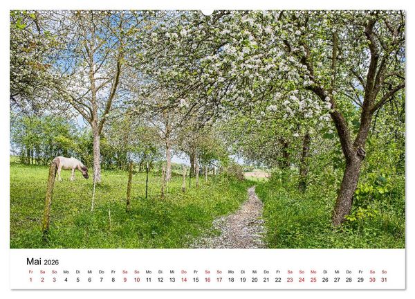 Produktbild: H&ouml;hepunkte des Siebengebirges (Wandkalender 2026 DIN A2 quer), CALVENDO Monatskalender
